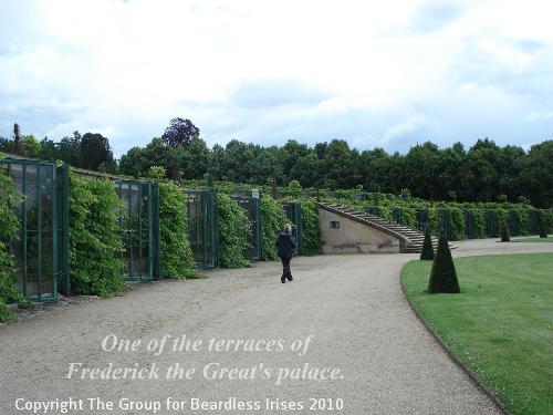 OW G33 One of the terraces of Frederick the Great's palace  (1)